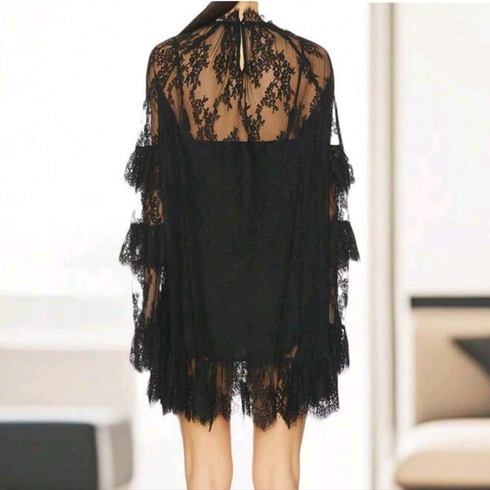 Elegant Black Lace Dress - Picture 3 of 5